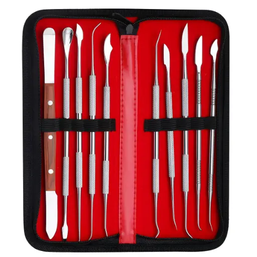 Stainless Steel Wax Carving Tool Kit - 10 Pieces with Case